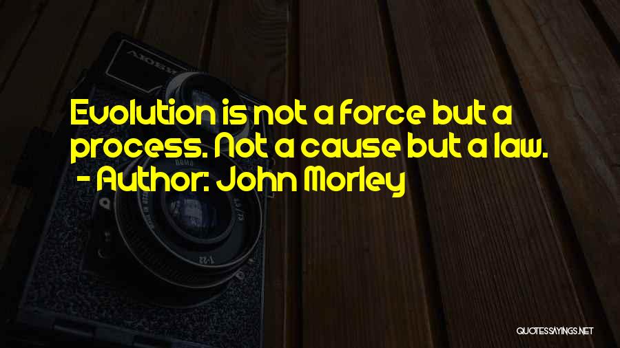 John Morley Quotes 2113382