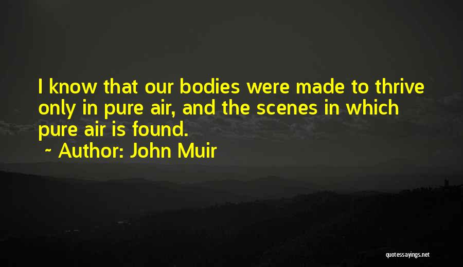 John Muir Quotes 1190506