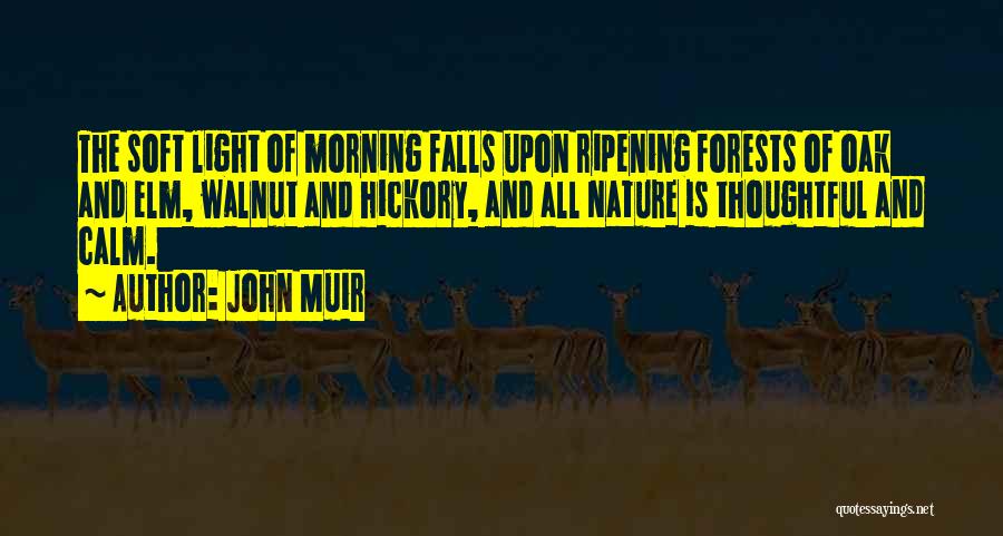 John Muir Quotes 1528200