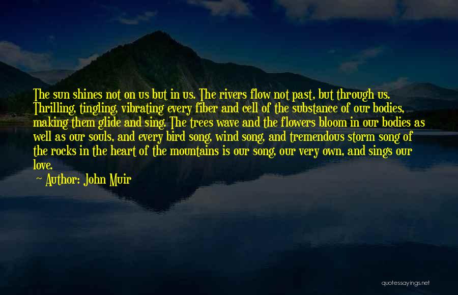 John Muir Quotes 1900820