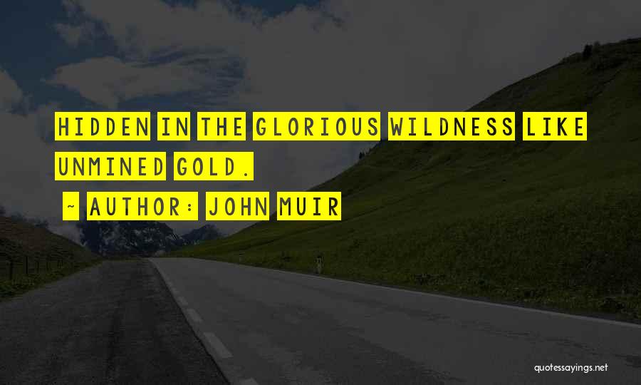 John Muir Quotes 2078082