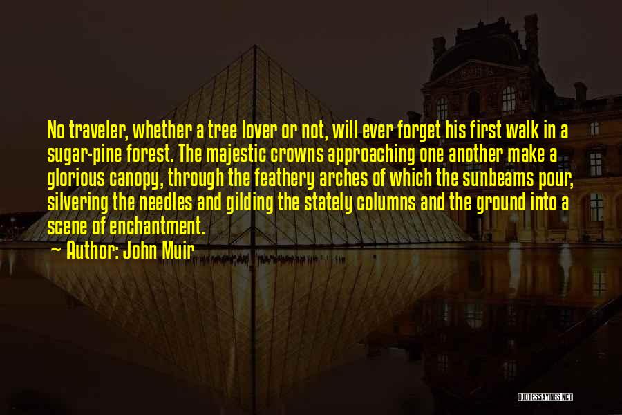 John Muir Quotes 721124