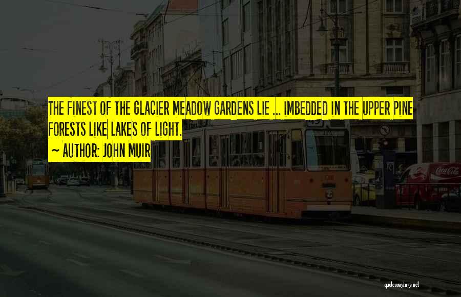 John Muir Quotes 855120