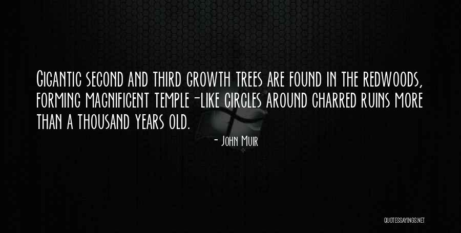 John Muir Redwoods Quotes By John Muir
