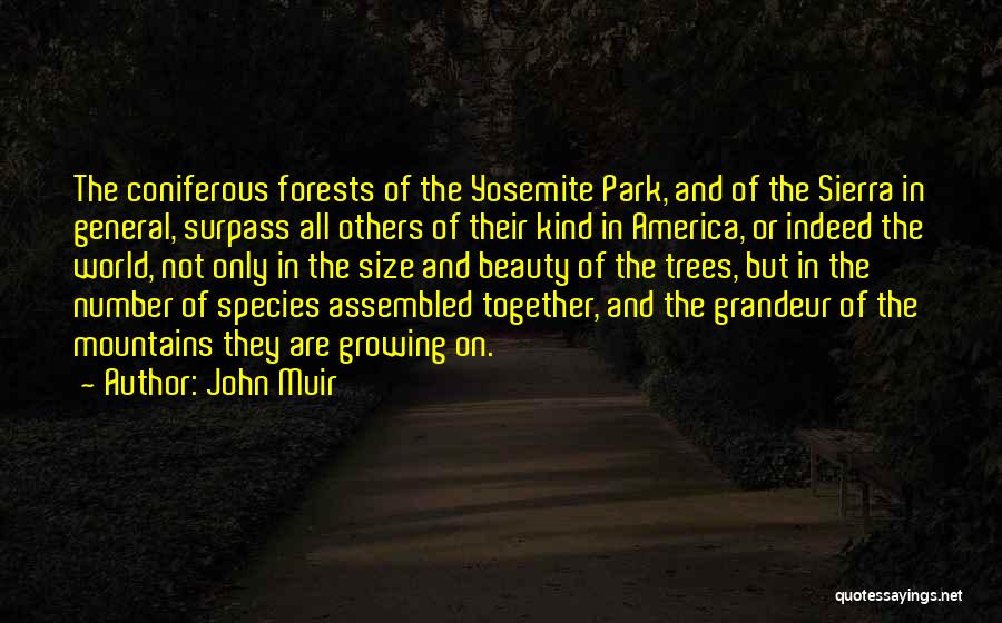 John Muir Sierra Quotes By John Muir