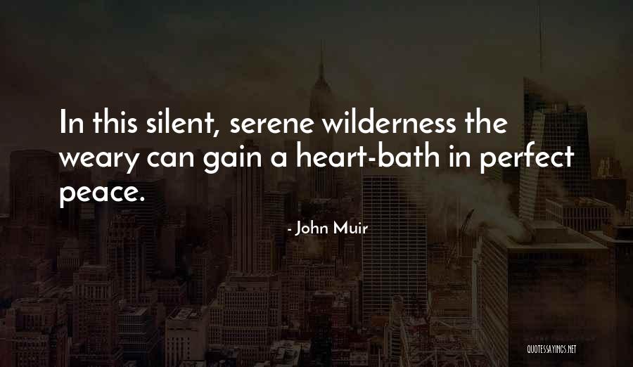 John Muir Wilderness Quotes By John Muir