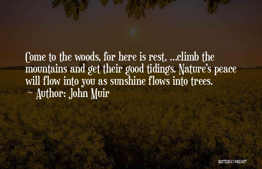 John Muir Woods Quotes By John Muir