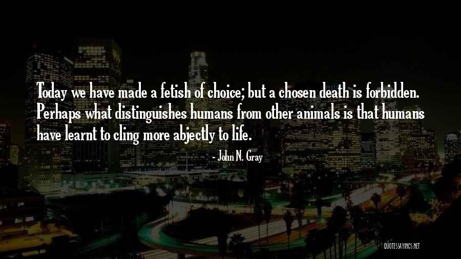 John N. Gray Quotes 1385963 John N. Gray Quotes 1385963