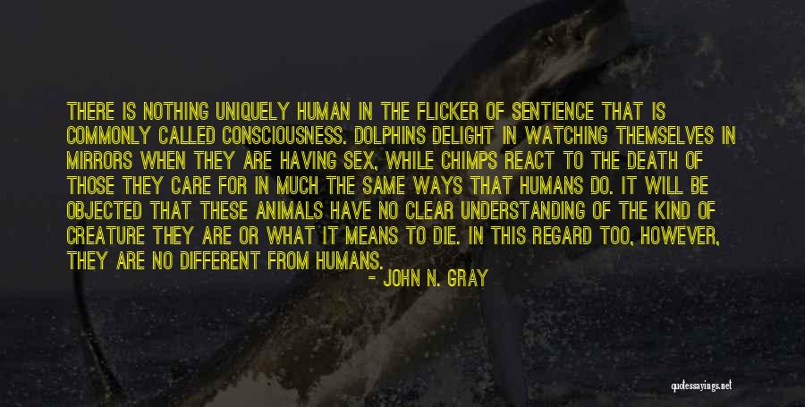 John N. Gray Quotes 1459404 John N. Gray Quotes 1459404