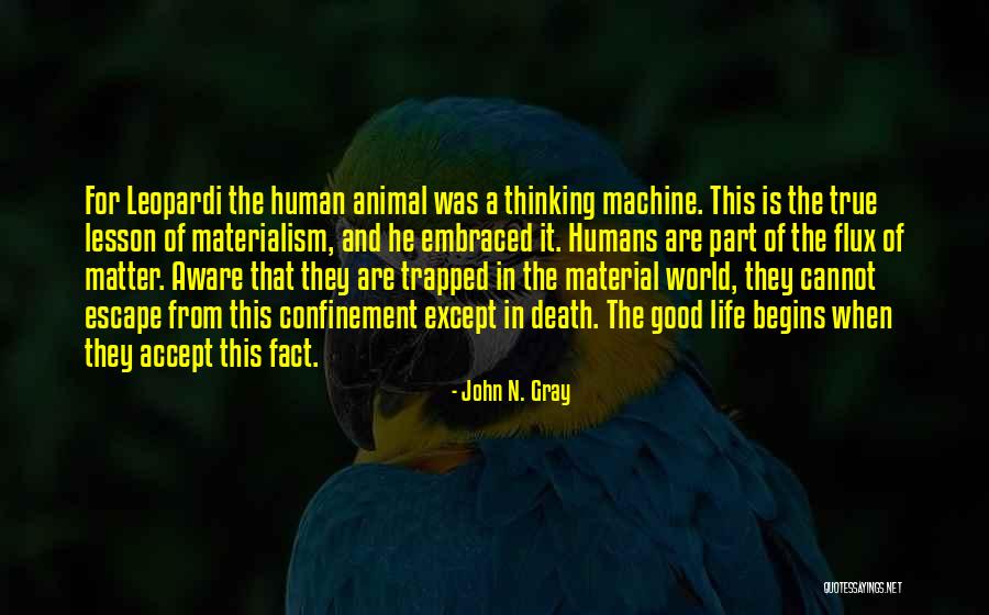 John N. Gray Quotes 2246626 John N. Gray Quotes 2246626