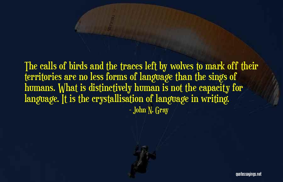 John N. Gray Quotes 502904