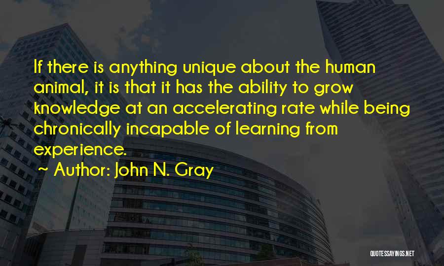 John N. Gray Quotes 921308