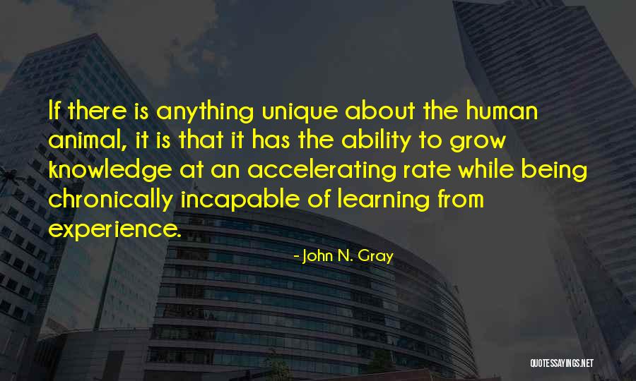 John N. Gray Quotes 921308