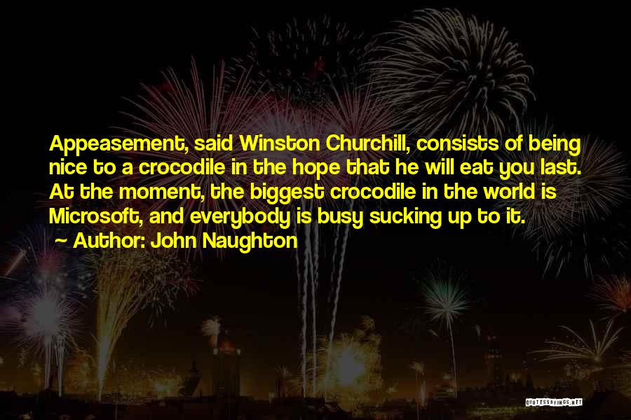 John Naughton Quotes 541103