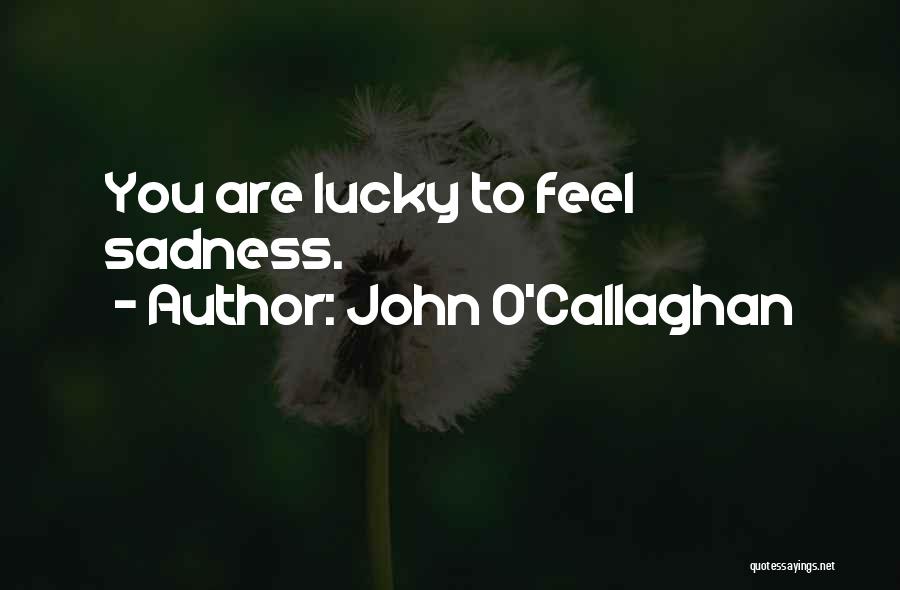 John O'Callaghan Quotes 1351914