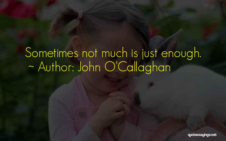 John O'Callaghan Quotes 267479