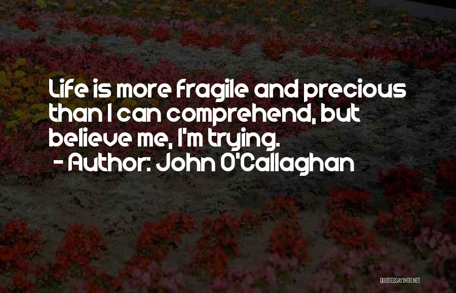 John O'Callaghan Quotes 334184