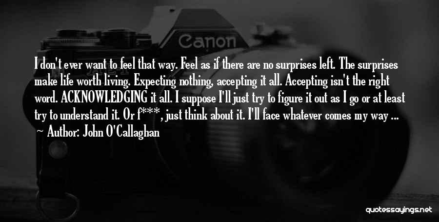 John O'Callaghan Quotes 450700