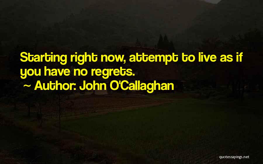 John O'Callaghan Quotes 769095