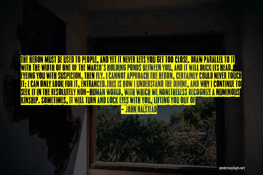 John O'donohue Divine Beauty Quotes By John Halstead John O'donohue Divine Beauty Quotes By John Halstead