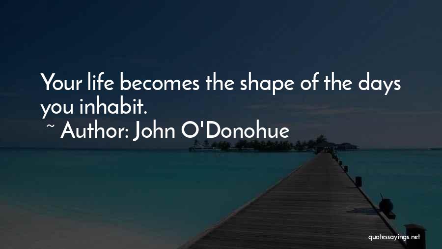 John O'Donohue Quotes 1431153