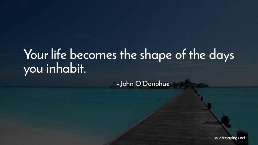 John O'Donohue Quotes 1431153