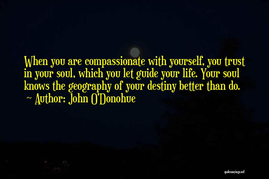 John O'Donohue Quotes 1465978