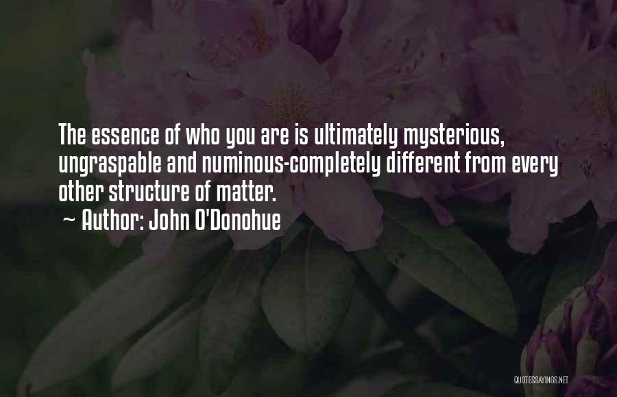 John O'Donohue Quotes 1838669 John O'Donohue Quotes 1838669