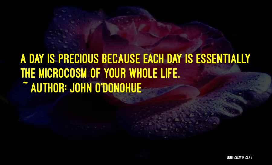 John O'Donohue Quotes 2196350