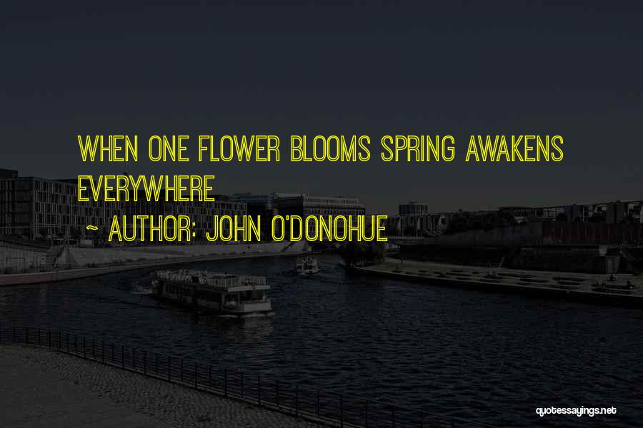 John O'Donohue Quotes 282340