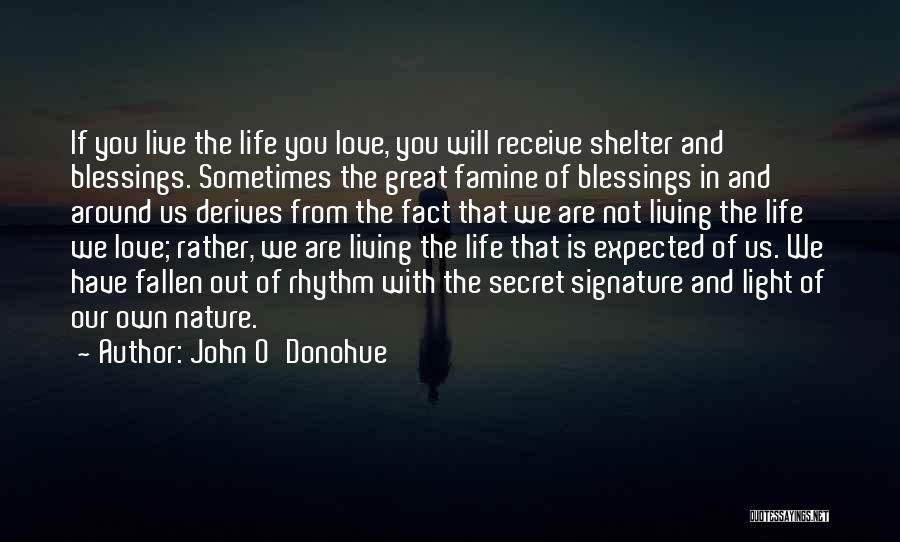 John O'Donohue Quotes 545773