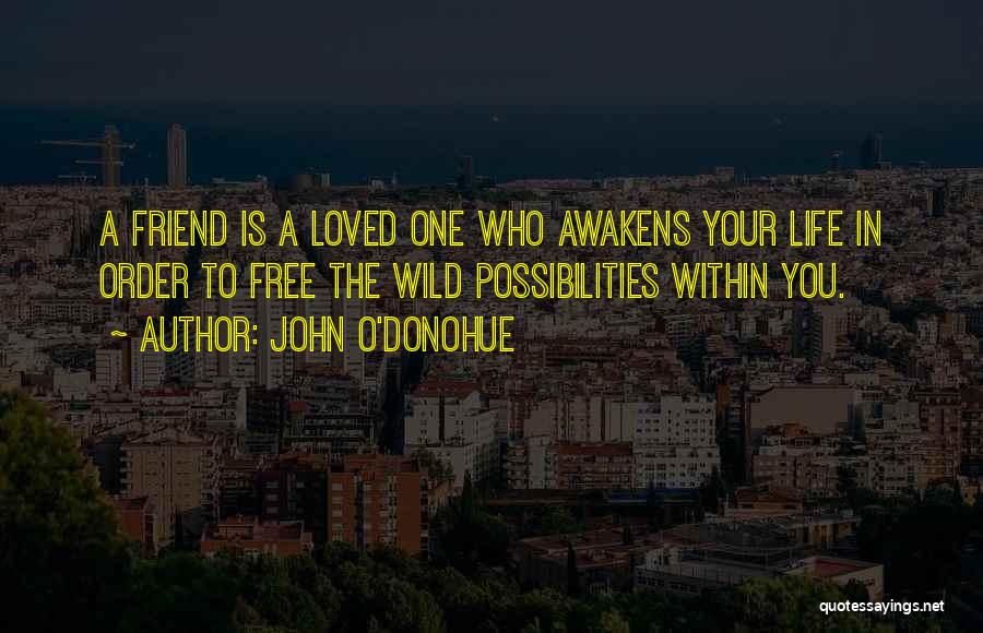 John O'Donohue Quotes 581314