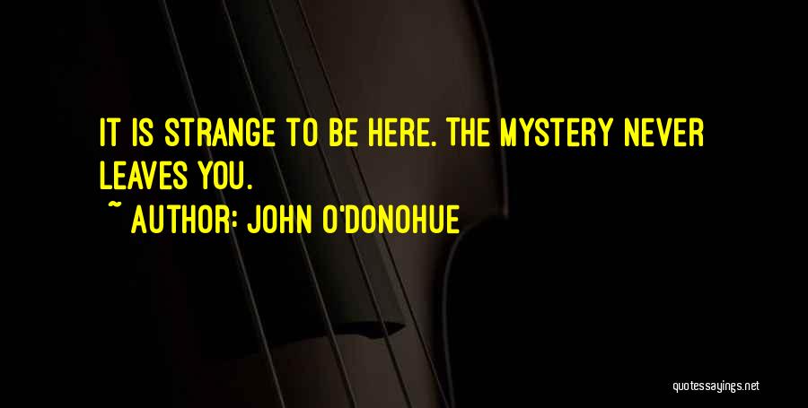 John O'Donohue Quotes 591770