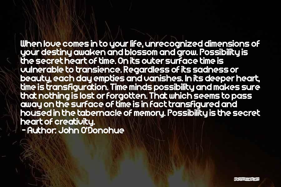 John O'Donohue Quotes 746563 John O'Donohue Quotes 746563