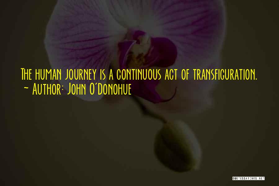 John O'Donohue Quotes 929358