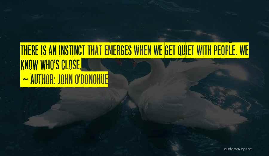 John O'Donohue Quotes 982916