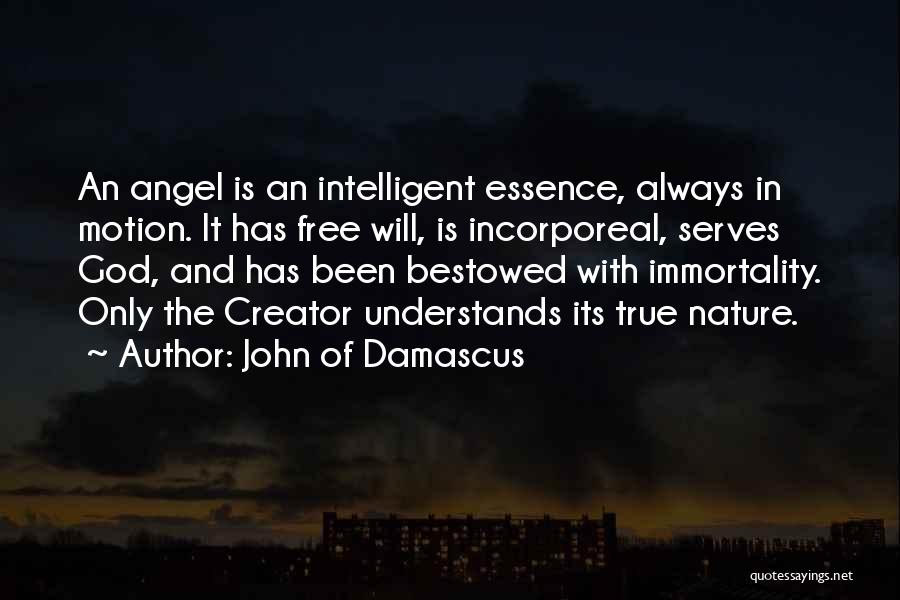 John Of Damascus Quotes 2114994