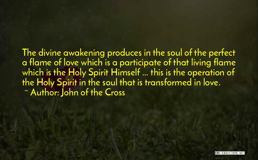 John Of The Cross Quotes 1517521