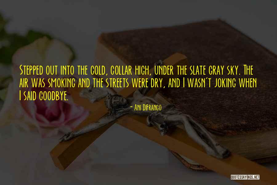 John Oliver Hobbes Quotes By Ani DiFranco John Oliver Hobbes Quotes By Ani DiFranco