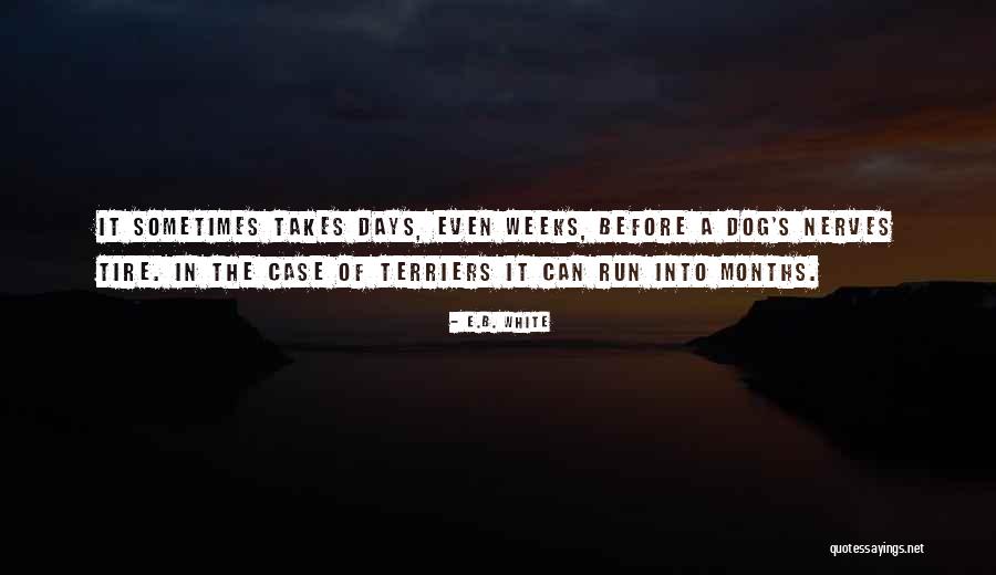 John Oliver Hobbes Quotes By E.B. White John Oliver Hobbes Quotes By E.B. White