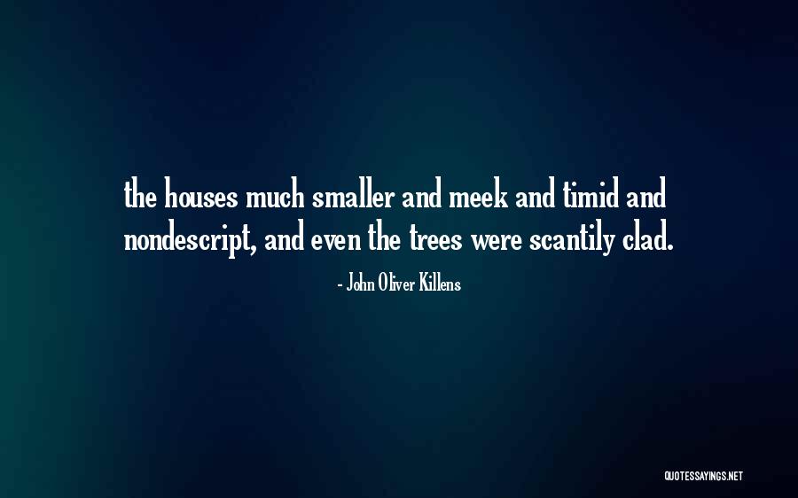 John Oliver Killens Quotes 1342490 John Oliver Killens Quotes 1342490