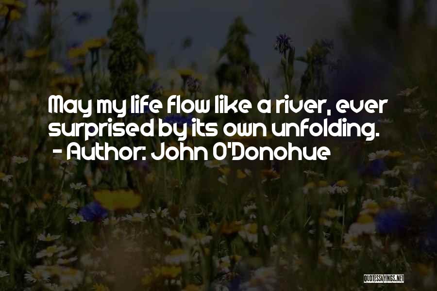 John O'mahony Quotes By John O'Donohue