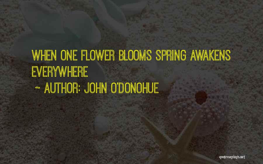 John O'shea Quotes By John O'Donohue