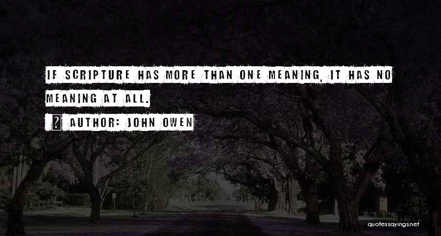 John Owen Quotes 1255094