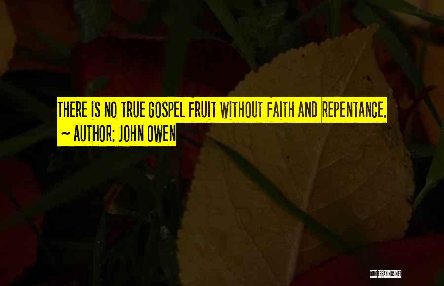 John Owen Quotes 252541