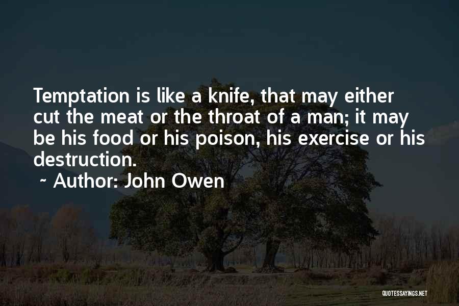 John Owen Quotes 939046