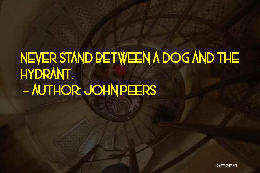 John Peers Quotes 314199