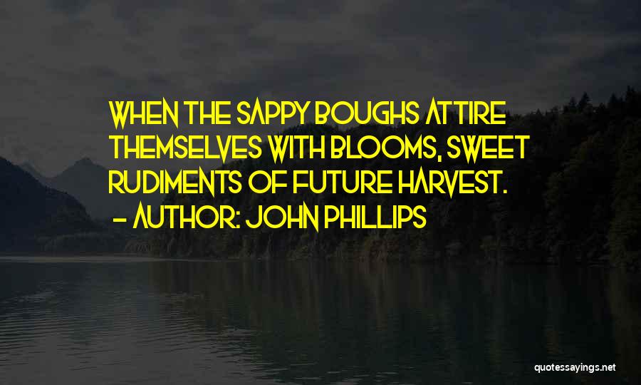 John Phillips Quotes 992436