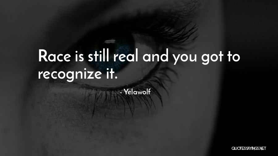 John Pulitzer Quotes By Yelawolf John Pulitzer Quotes By Yelawolf