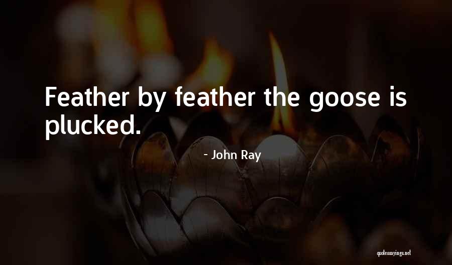 John Ray Quotes 1301959